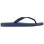 Chinelos Ipanema Anatomic Colors Fem Ref: 82591