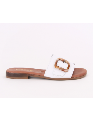 Chinelos Senhora Com Fivela Sacchi