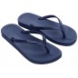 Chinelos Ipanema Anatomic Colors Fem Ref: 82591