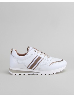 Sapatilhas Com Pormenores Dourados SB Shoes Ref:1871